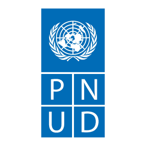 Logo de Programme des Nations unies pour le développement (PNUD)