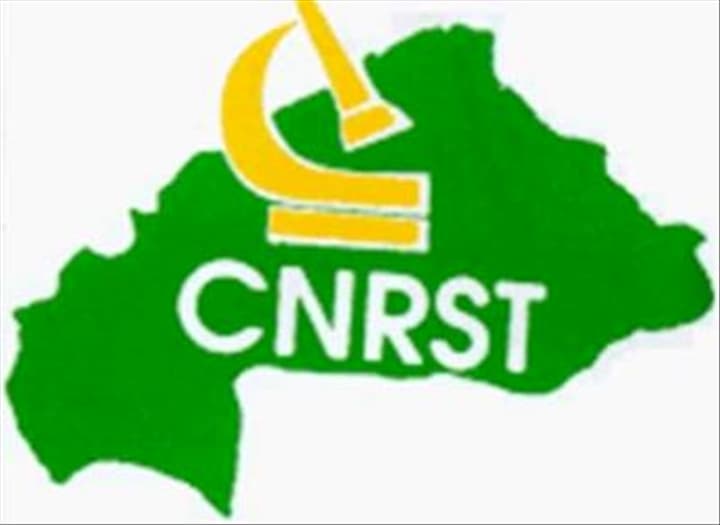 Centre national de recherche scientifique et technologique (CNRST)